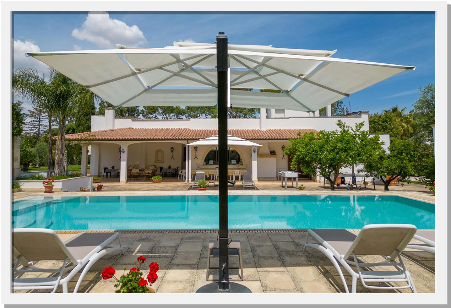 Mad Designer at work